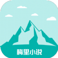 9.1免费版安装APP应用